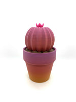 CACTUS IN PLANTER 4" 3 - #0466