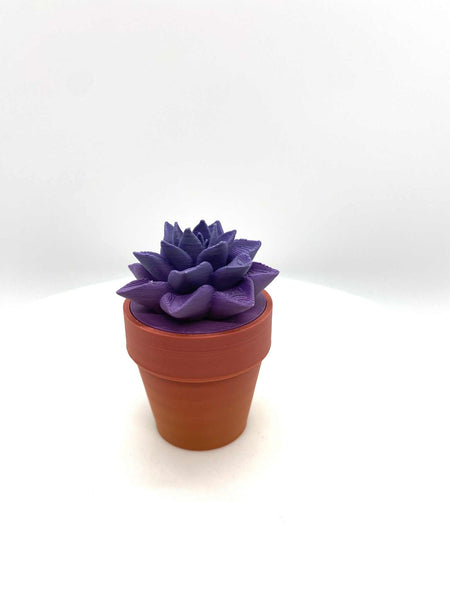 CACTUS IN PLANTER 2 1/4" 1 - #0470