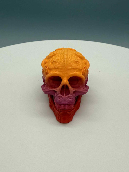 3D Printed 1 1/4" SKULL CANDY HEAD 2 - #0594