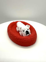 3D Printed 3 1/4" PET BED - #0581